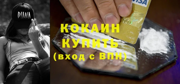 дмт Бородино