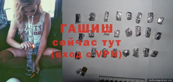 дмт Бородино