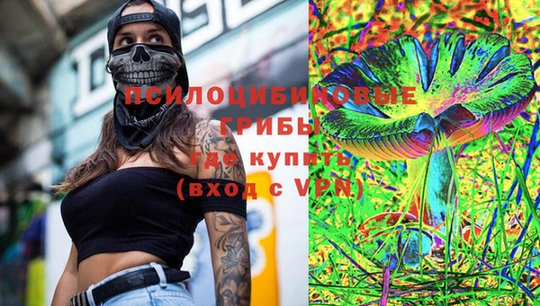 дмт Бородино