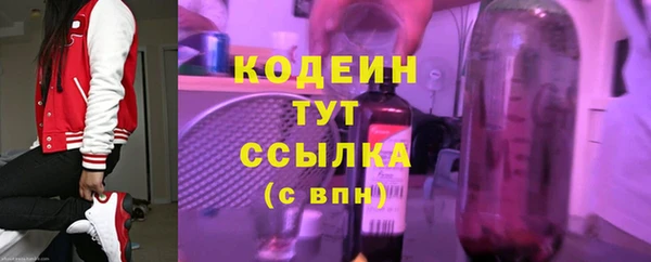 ПСИЛОЦИБИНОВЫЕ ГРИБЫ Верея