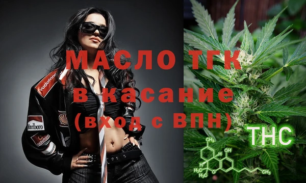 дмт Бородино