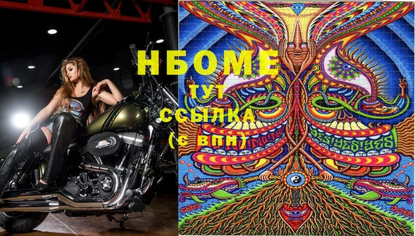 дмт Бородино