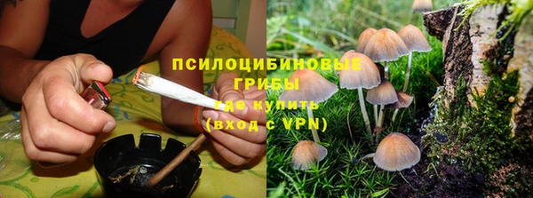 ПСИЛОЦИБИНОВЫЕ ГРИБЫ Верея