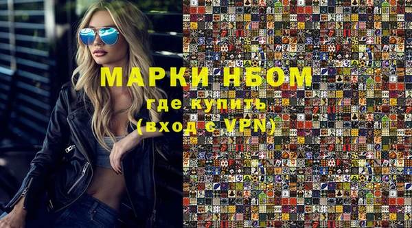 дмт Бородино