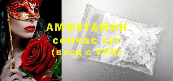 дмт Бородино