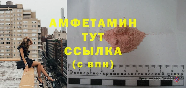 дмт Бородино