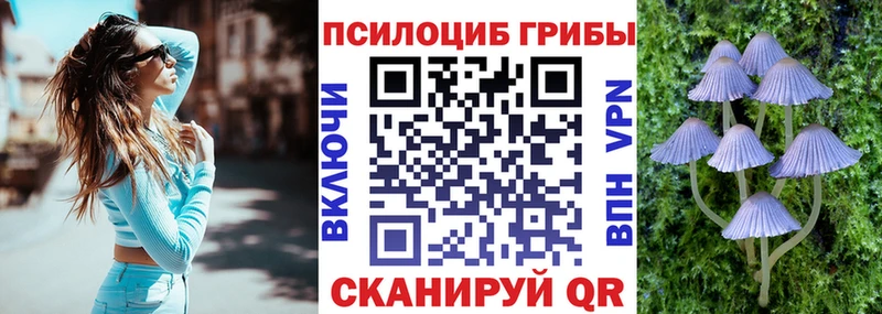 Купить закладки  Микунь  Псилоцибиновые грибы ЛСД 